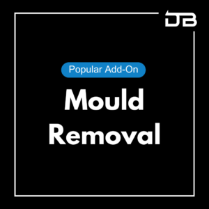 Mould Removal