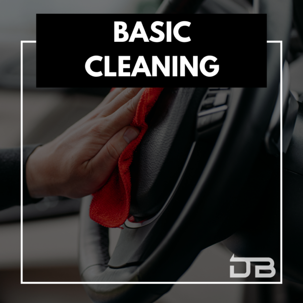 Basic Cleaning